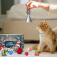 🔥Letzte 48 Stunden 49%OFF😻2024 Weihnachts-Countdown-Katzenspielzeug-Adventskalender🎁