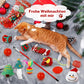 🔥Letzte 48 Stunden 49%OFF😻2024 Weihnachts-Countdown-Katzenspielzeug-Adventskalender🎁