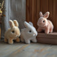 🔥Große Osteraktion 49% RABATT 🎁🐇Bunby - Mein realistisches Kaninchen-Spielzeug