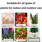 🔥Kaufe 2, bekomme 1 gratis 🤩Flüssige Lösung zur Aktivierung von Pflanzen und Blumen
