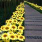 ⏳Begrenzte Zeit €13,99!!⚡50K+VERKAUFT!🌞🌻Wasserdichte Solar-Sonnenblumenleuchten für den Garten - Jetzt im Angebot