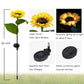 ⏳Begrenzte Zeit €13,99!!⚡50K+VERKAUFT!🌞🌻Wasserdichte Solar-Sonnenblumenleuchten für den Garten - Jetzt im Angebot